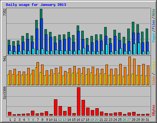 Daily usage for January 2013