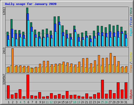 Daily usage for January 2020