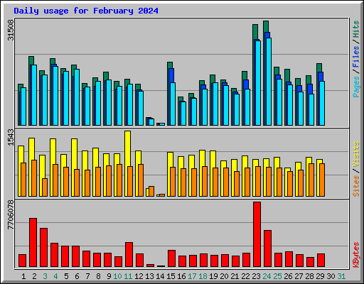 Daily usage for February 2024