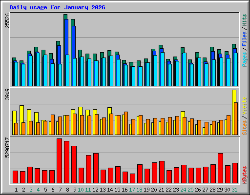 Daily usage for January 2026