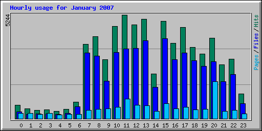 Hourly usage for January 2007