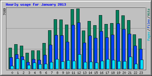 Hourly usage for January 2013