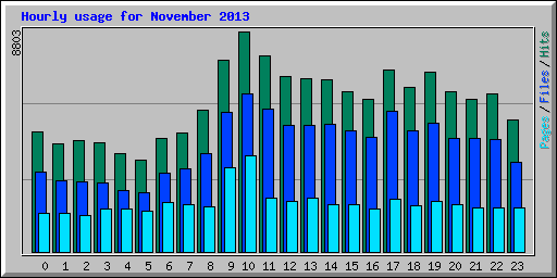 Hourly usage for November 2013