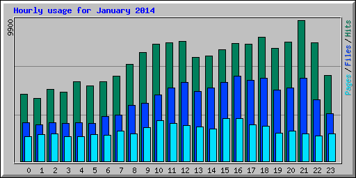 Hourly usage for January 2014