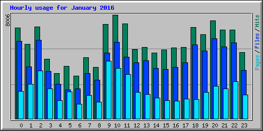 Hourly usage for January 2016