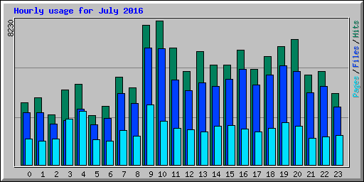 Hourly usage for July 2016