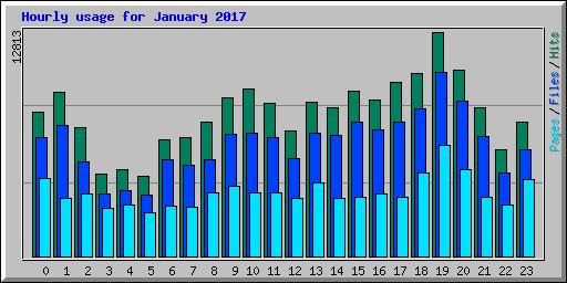 Hourly usage for January 2017