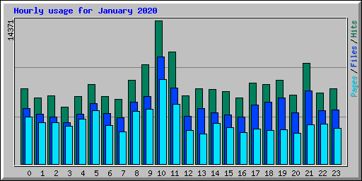 Hourly usage for January 2020