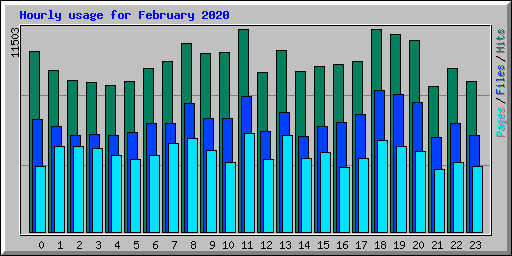 Hourly usage for February 2020