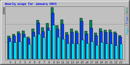 Hourly usage for January 2023