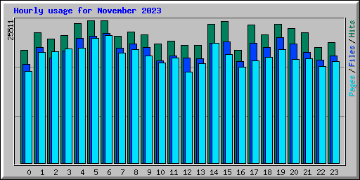 Hourly usage for November 2023