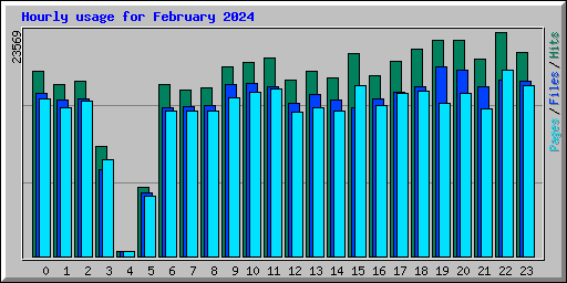 Hourly usage for February 2024