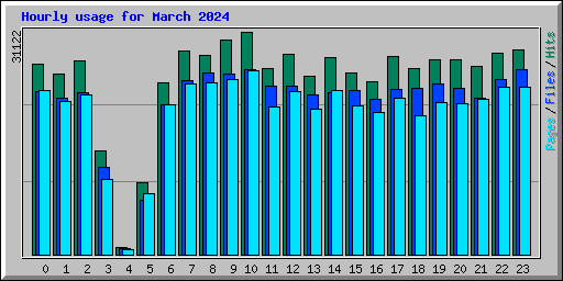 Hourly usage for March 2024