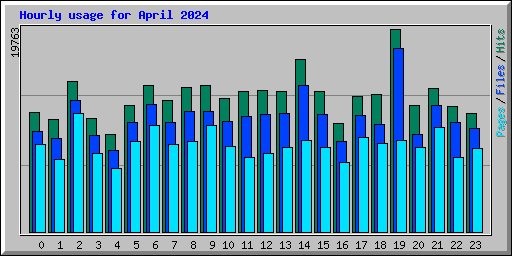 Hourly usage for April 2024