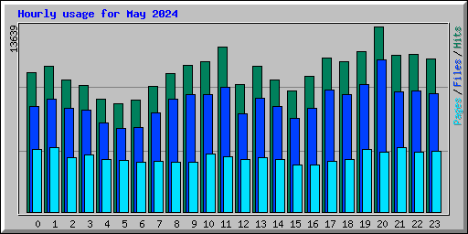Hourly usage for May 2024