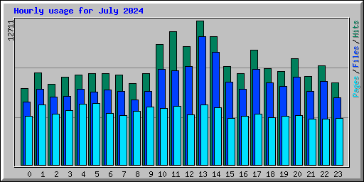 Hourly usage for July 2024