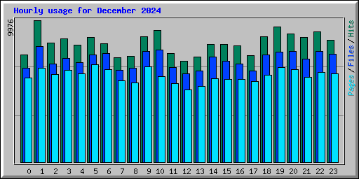 Hourly usage for December 2024