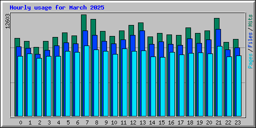 Hourly usage for March 2025