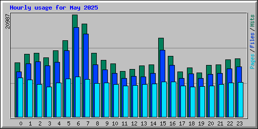 Hourly usage for May 2025