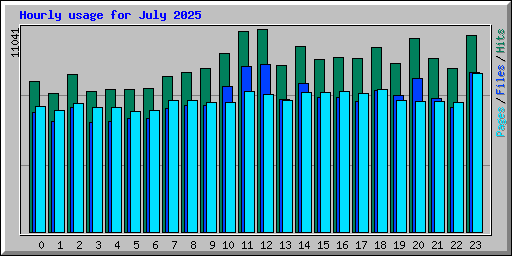 Hourly usage for July 2025