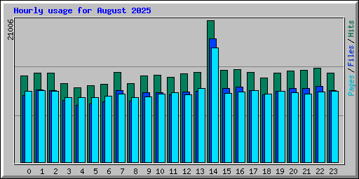 Hourly usage for August 2025