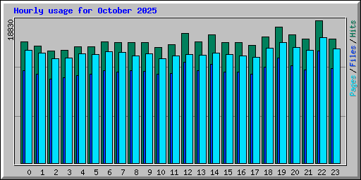 Hourly usage for October 2025