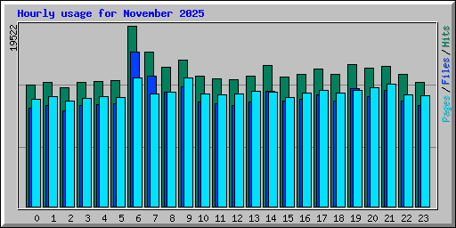 Hourly usage for November 2025