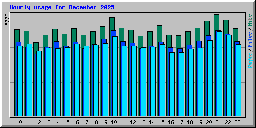 Hourly usage for December 2025