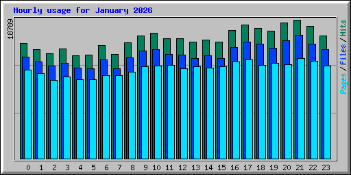 Hourly usage for January 2026