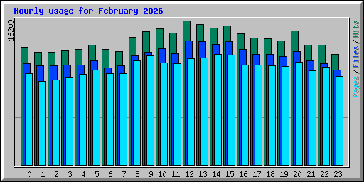 Hourly usage for February 2026