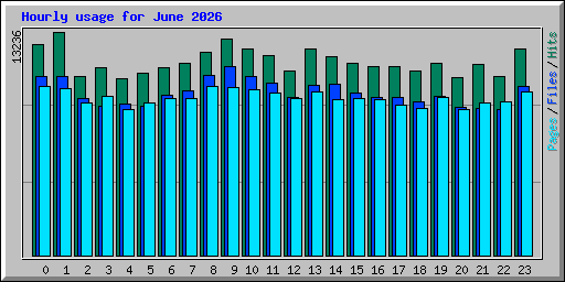 Hourly usage for June 2026