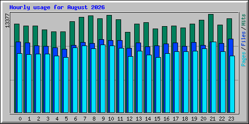 Hourly usage for August 2026