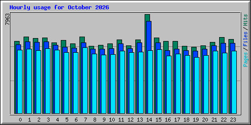 Hourly usage for October 2026